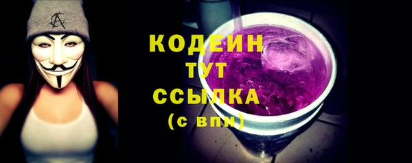 твердый Володарск