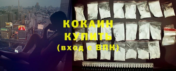 твердый Володарск