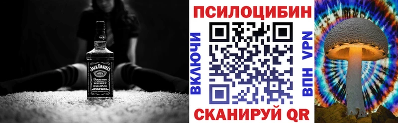 Купить где  Вышний Волочёк  Галлюциногенные грибы прущие грибы 
